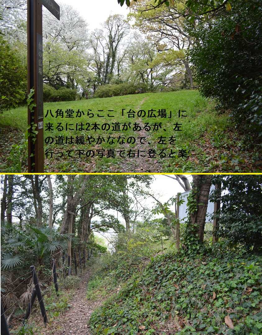 お歳暮 時期 東京都武蔵野郷土館調査報告書第一冊ー横浜市称名寺