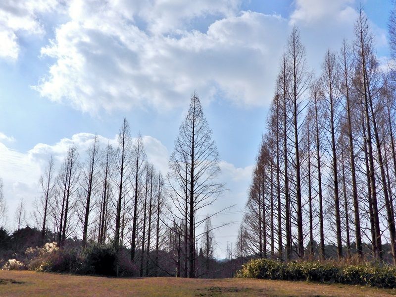 多目的広場8