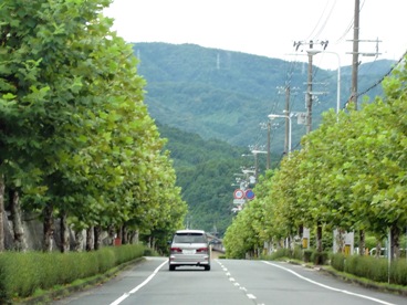 yama33.jpg