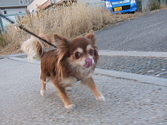 conv0169.JPG