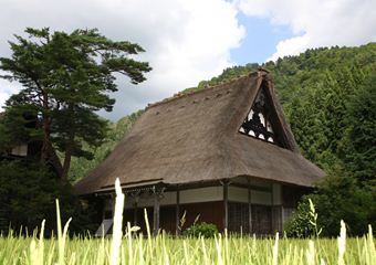 20120815_4_R.JPG