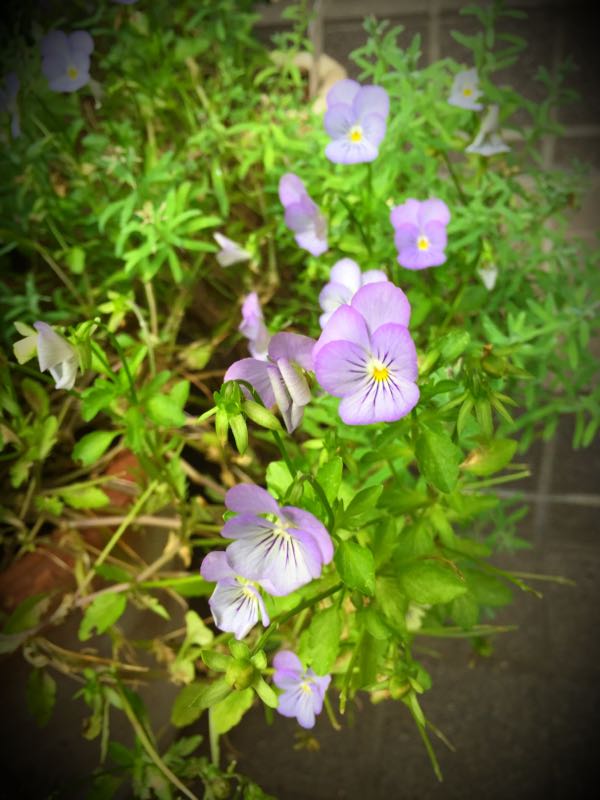 rblog-20160630184033-04.jpg