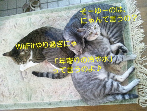 20120810_4.jpg