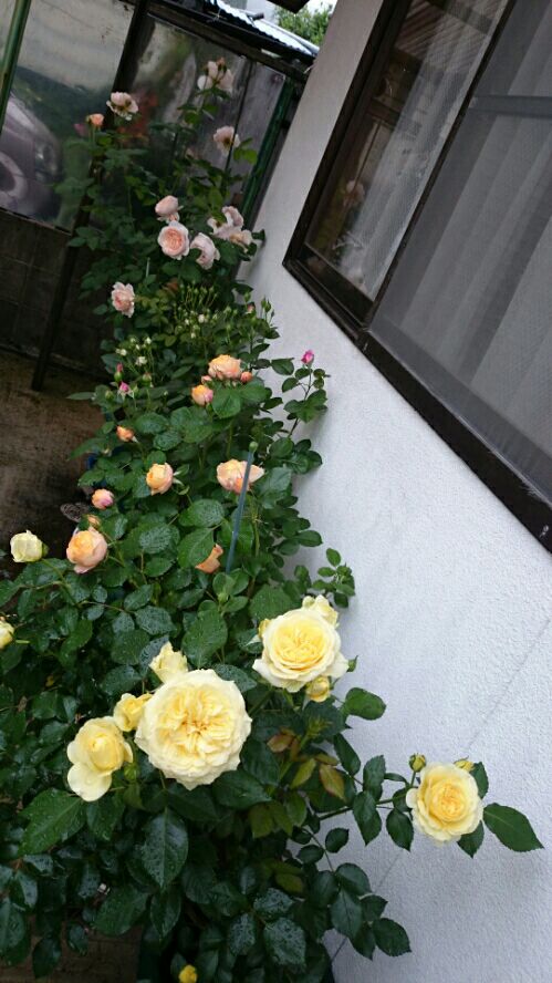 rblog-20160509145703-03.jpg