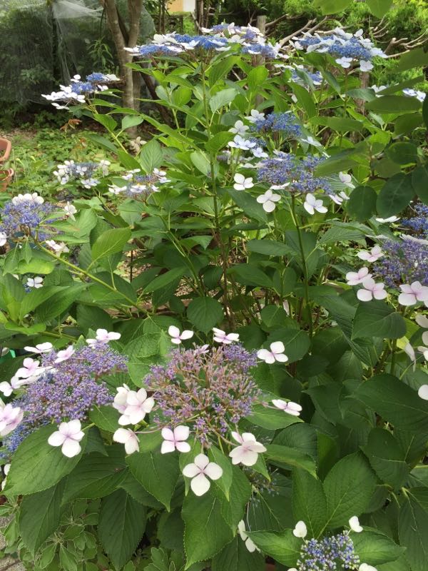 rblog-20160625211621-05.jpg