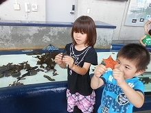 DSCN1392.jpg
