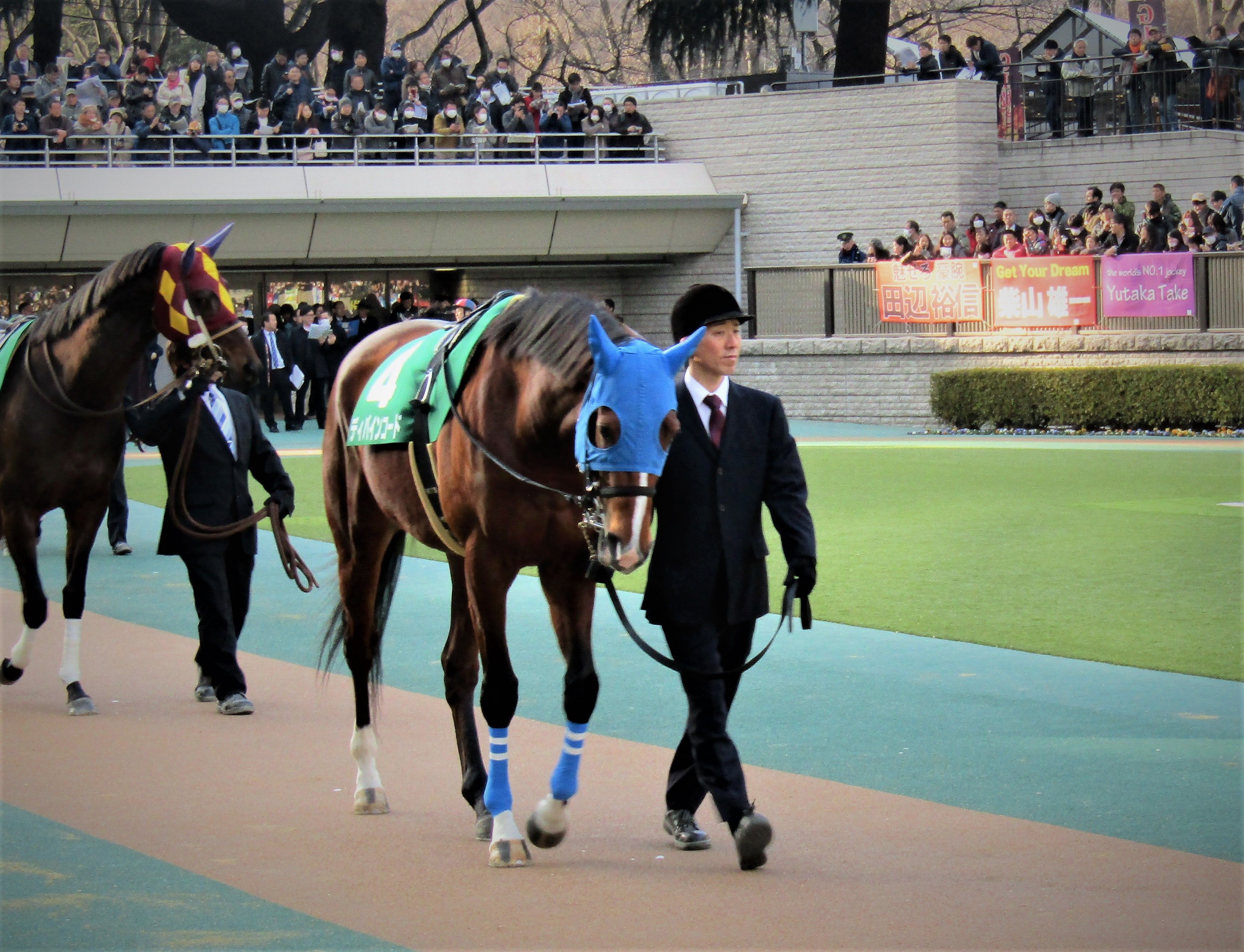 出資馬 ディバインコードその２ の記事一覧 ミノルロドリゴの一口馬主ブログ 楽天ブログ