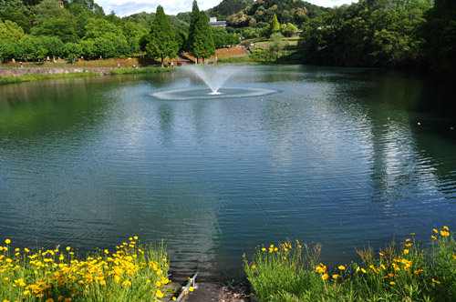 花４