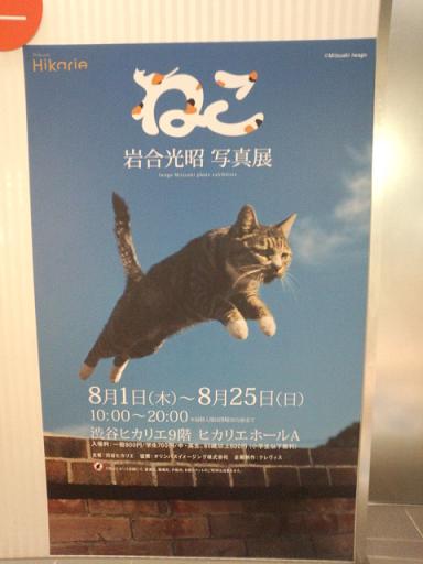 IMG_20130822_110756395.jpg