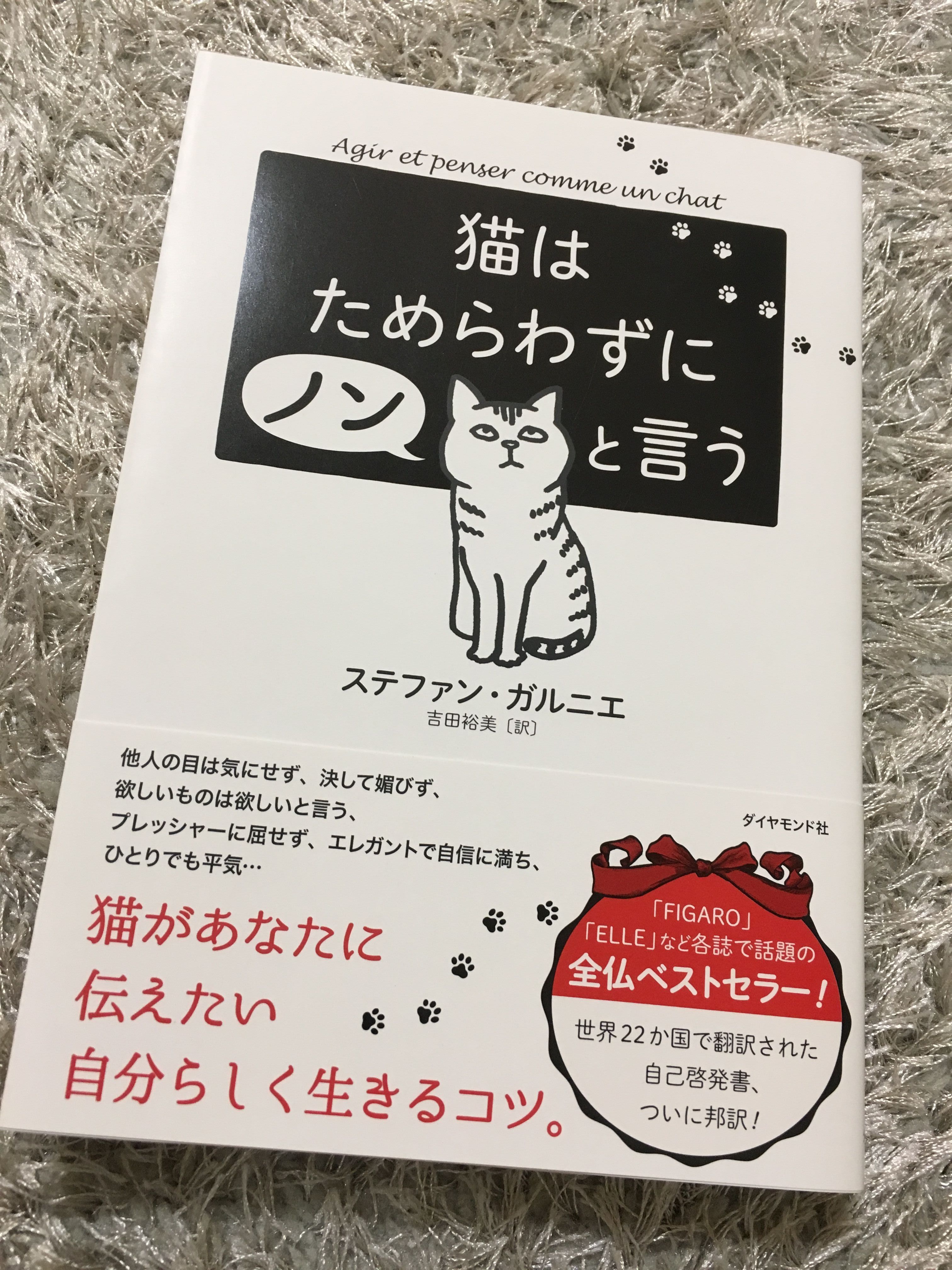 あえて飾らないことで人を惹きつける 猫に学ぶ自分らしい生き方 Bygones 楽天ブログ