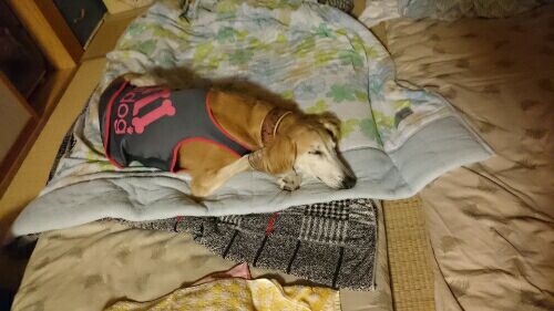 rblog-20160813213603-02.jpg