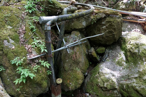 DSC03506.JPG