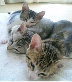 20120618_2.jpg