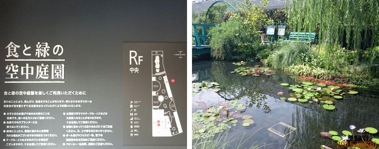 ９／３０屋上庭園.jpg