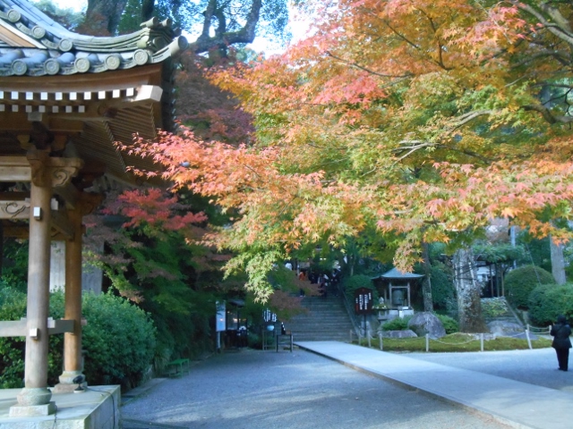 005 (640x480).jpg