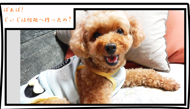 こころ３０