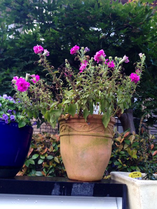 rblog-20140721212629-01.jpg