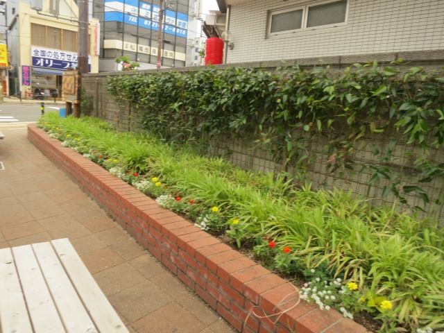 今日のポケットパーク花壇