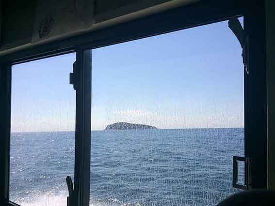 出羽島・牟岐アート展2016-02♪