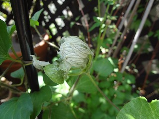 DSC03914.jpg