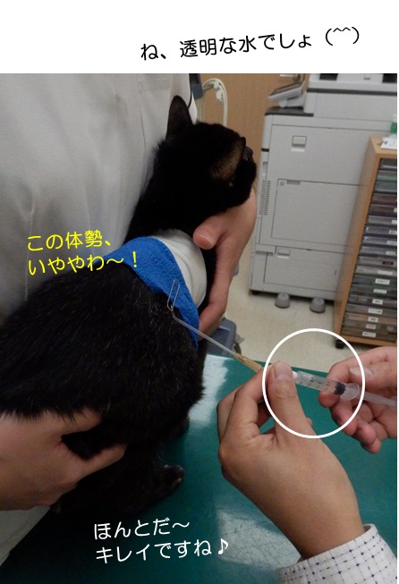 20151018_2.jpg