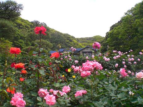 鎌倉文学館