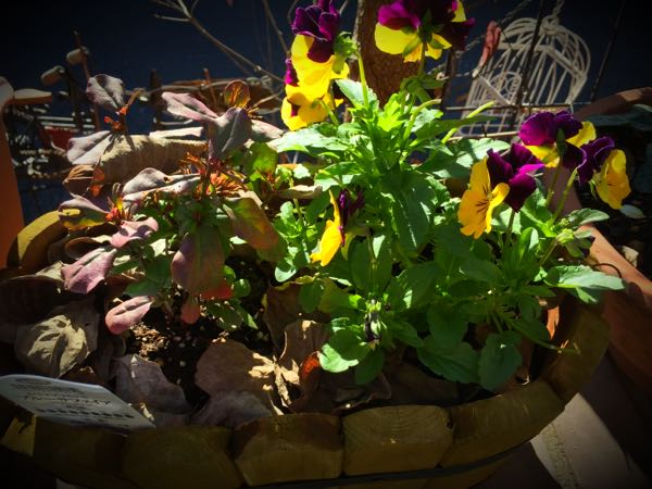 rblog-20151127134956-04.jpg