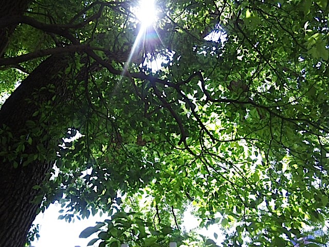 120519_131802.jpg