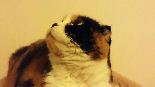 rblog-20160123171029-01.jpg