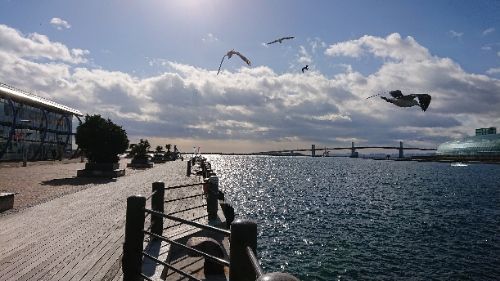 rblog-20171230215012-02.jpg