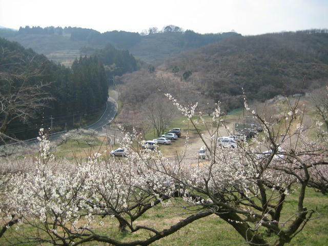 IMG_7841.JPG