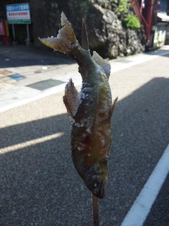 鮎の塩焼き♪