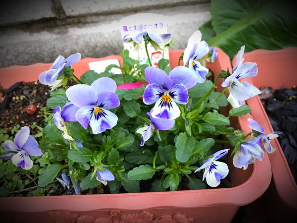 rblog-20161128164610-02.jpg