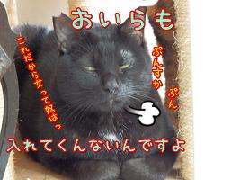 鈴ぷんすか.JPG