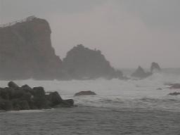 DSCN6229-w256.jpg