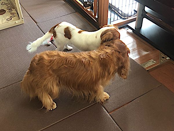 rblog-20180729175440-02.jpg