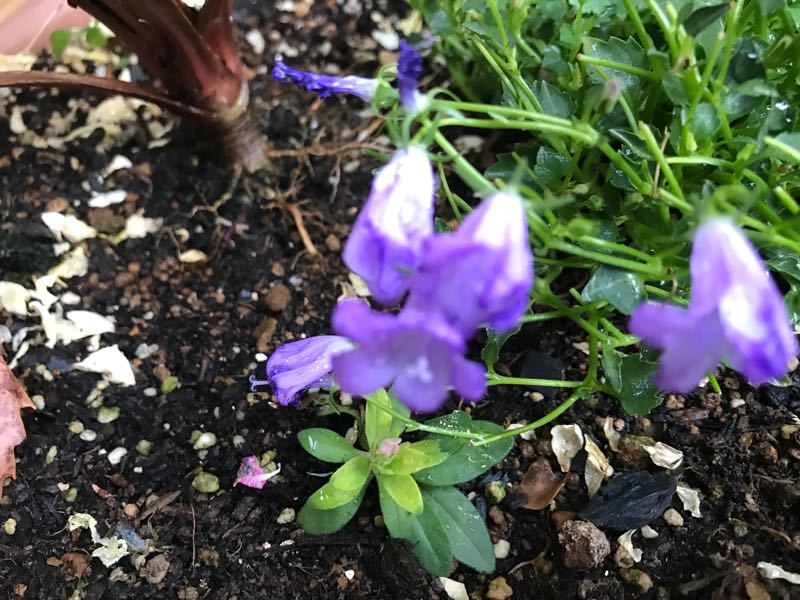 rblog-20180429182853-02.jpg