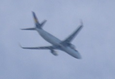 IMG_5701-8.jpg