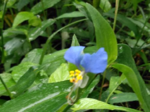 rblog-20180904163630-01.jpg