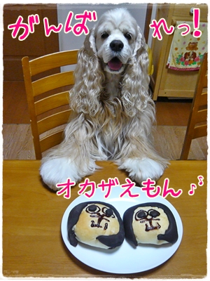 オカザえもんパンだよ♪.JPG