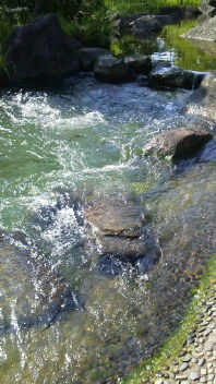 21037872_1965882518_44large.jpg
