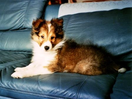 img115.jpg