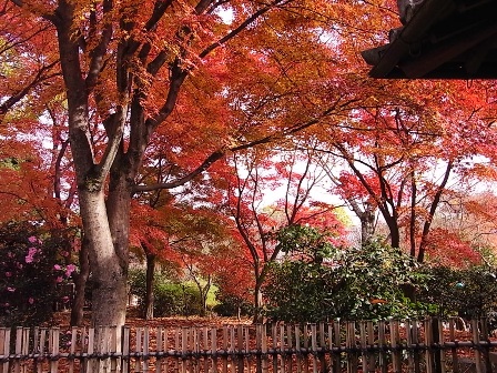 京都旅行 150 (2).jpg