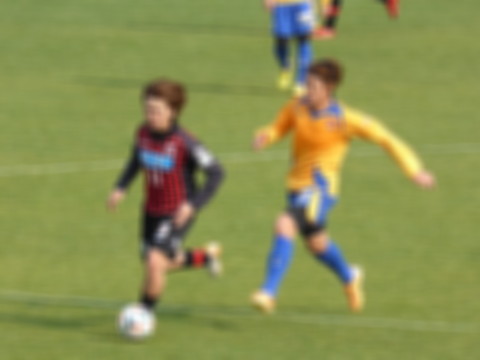 P1130773.jpg