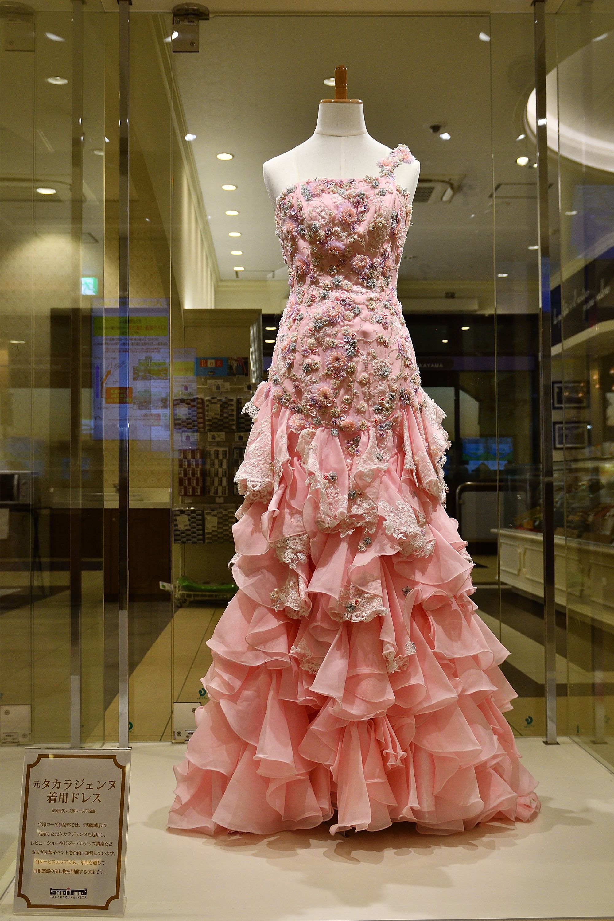 18年10月05日の記事 野鳥との日常生活を綴る 楽天ブログ