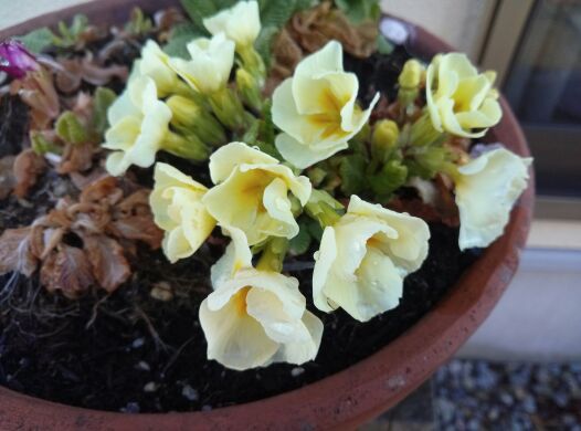 rblog-20140411204549-02.jpg