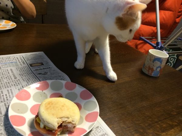 rblog-20150124063408-03.jpg