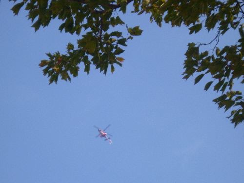 P1130954(1).JPG