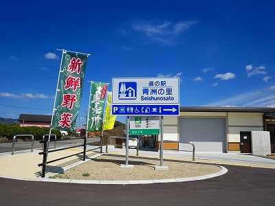 【道の駅 青洲の里 公園の桜満開!!】 | 愉快な写真館・日暮らし日記