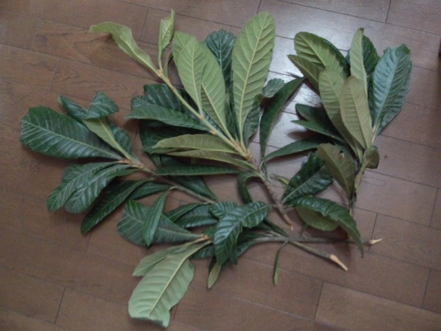 DCIM0760.JPG